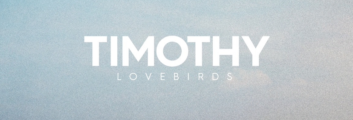 Lovebirds Lovebirds