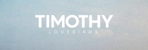 Lovebirds Lovebirds